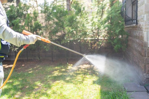 Best Best Pest Control Companies  in Westover, WV