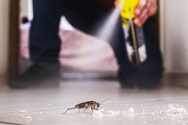 Pest Prevention Services in Westover, WV