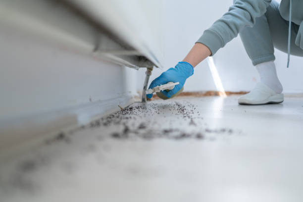 Professional Pest Control in Westover, WV